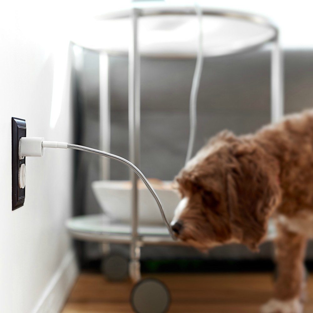 Fuse Chicken Titan is the Last Lightning Cable you Ever Need GetdatGadget