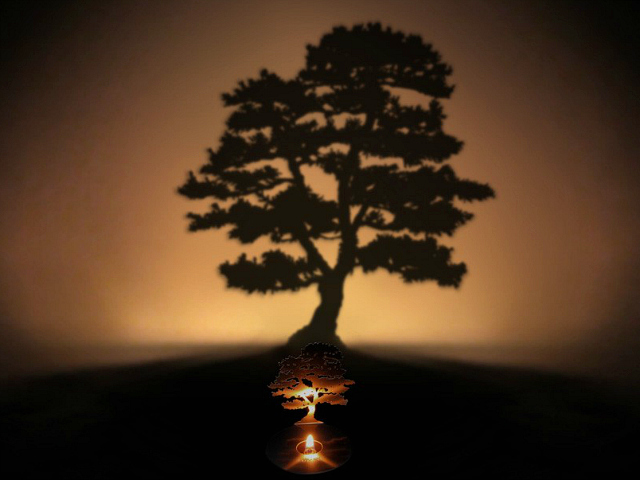 Lumen Tree Shadow Lamp