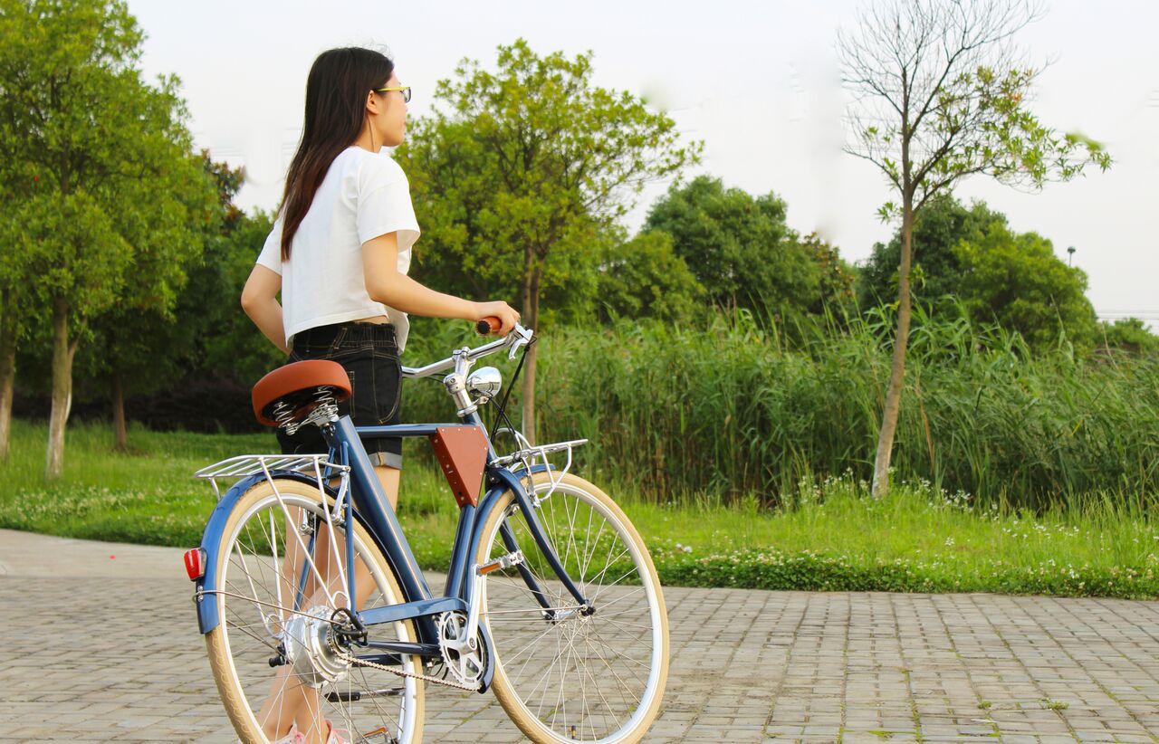 vela electric bike